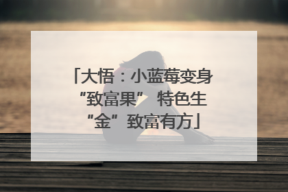 大悟：小蓝莓变身“致富果” 特色生“金”致富有方